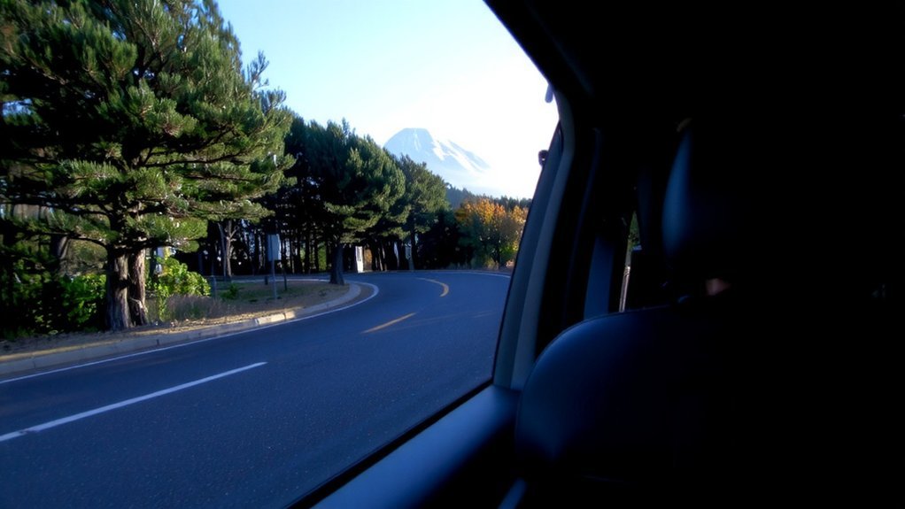 private driver versus rental